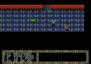 Скриншот игры Fatal Labyrinth